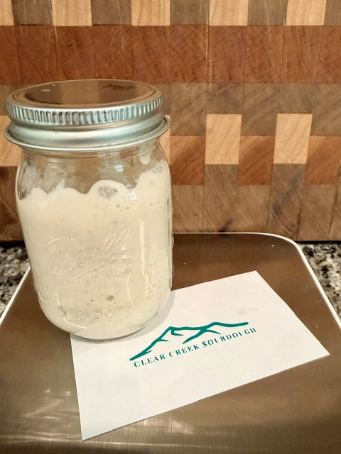 Small sourdough starter maintained with the 5 gram sourdough starter method