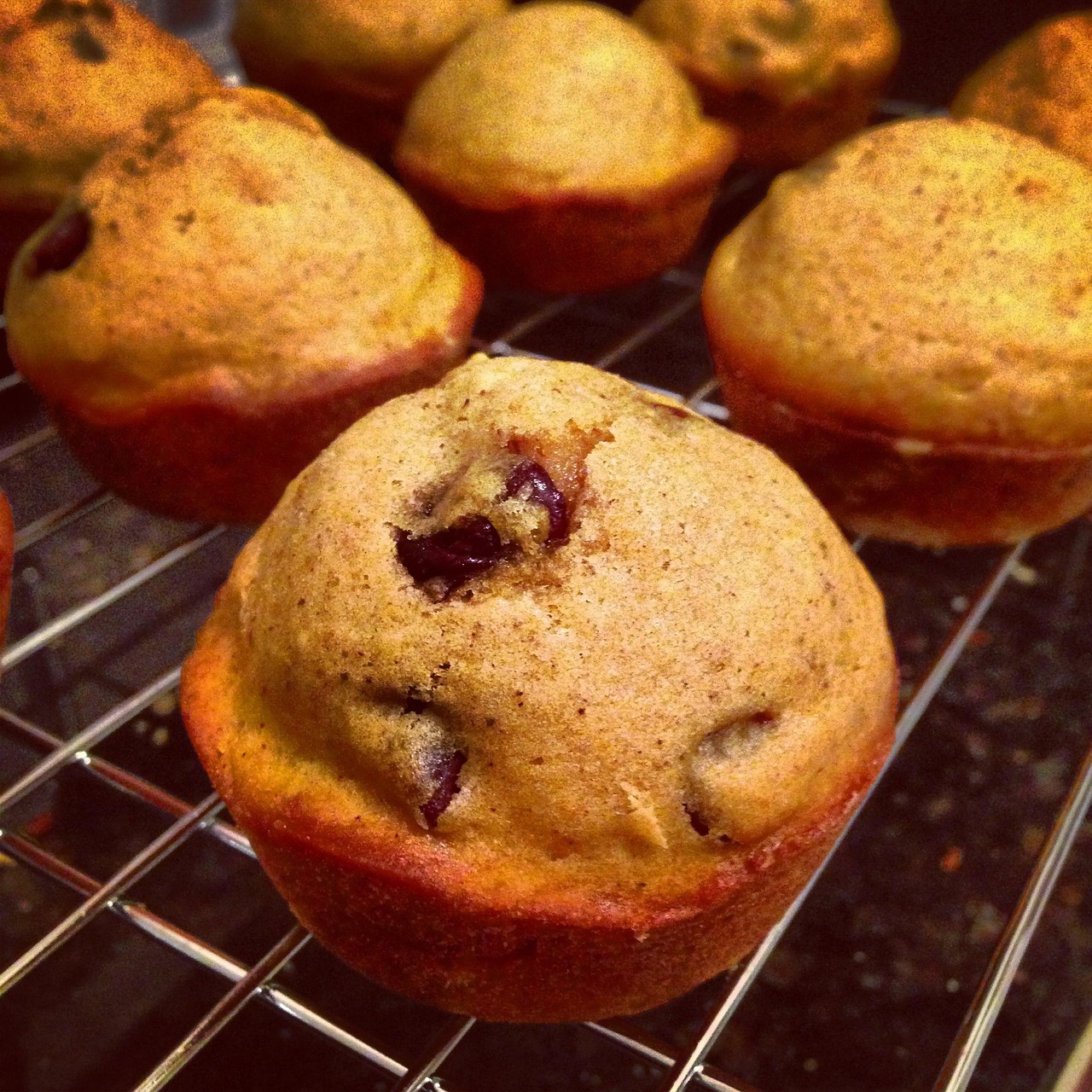 pumpkin muffins